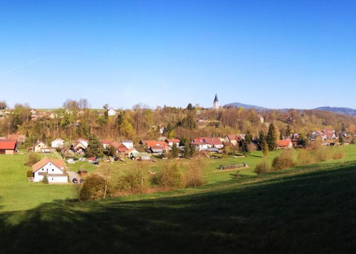 Unsere Ferienwohnung Stefan Im Riesengebirge! Dolni Lanov Eksteriør billede